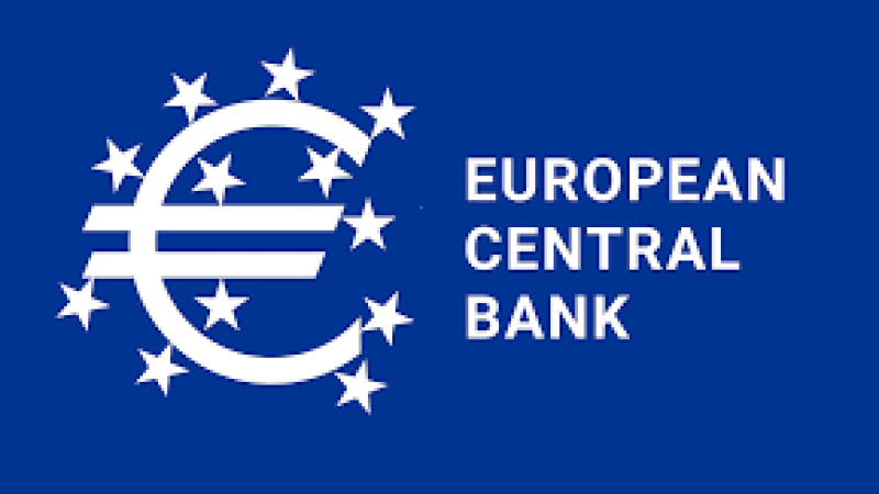 Pripravništvo u Europskoj središnjoj...